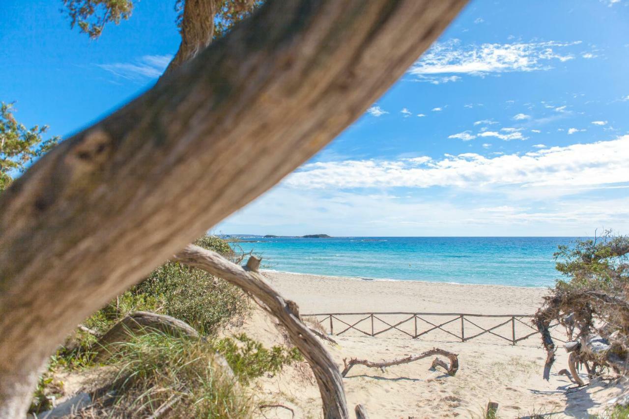 Sunkiss Apartment 500Mt Dal Mare Porto Cesareo Dış mekan fotoğraf